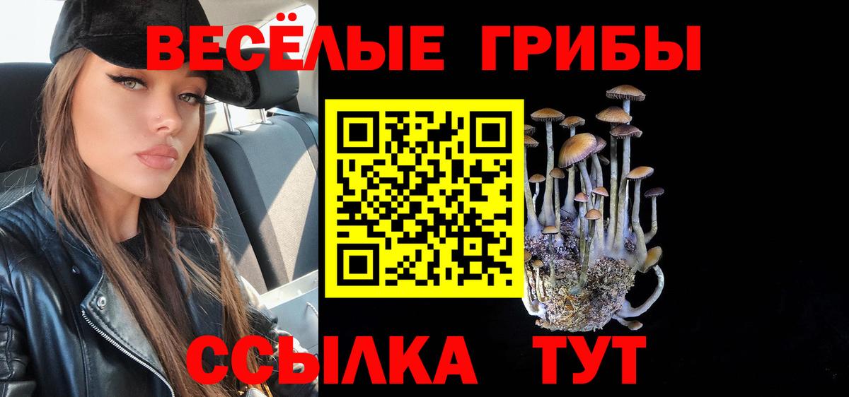 Псилоцибиновые грибы Magic Shrooms  Вход с VPN  Медногорск 